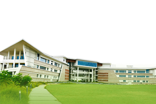Program Image